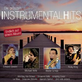 Album cover of Die grössten Instrumental Hits