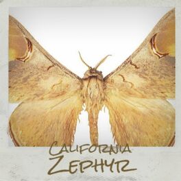 Album cover of California Zephyr