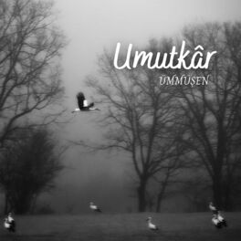Album cover of Umutkâr