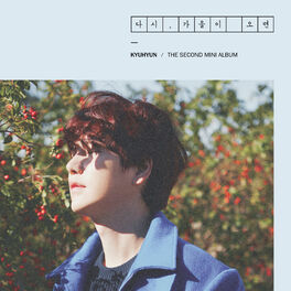 Album cover of Fall, Once again - The 2nd Mini Album