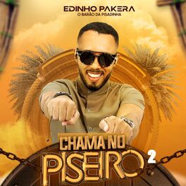 Album cover of Chama no Piseiro 2 (Cover)