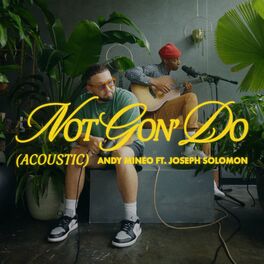 Album cover of Not Gon' Do (Acoustic)