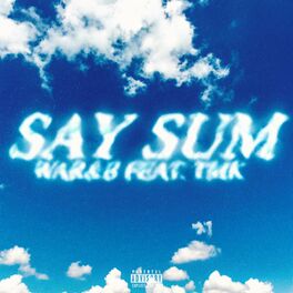 Album cover of SAY SUM (feat. Tmk)