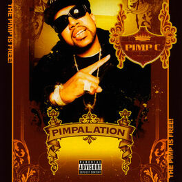 Album cover of Pimpalation (Limited Edition)