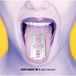 Album cover of SIAM SHADE VIII B-side Collection
