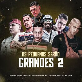 Album cover of Os Pequenos Serão Grandes 2