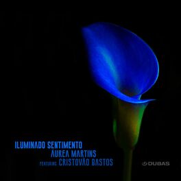 Album picture of Iluminado Sentimento