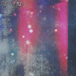 Album cover of The Leek 3!