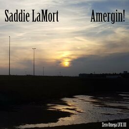 Album cover of Amergin! (Zero Omega LVX III)
