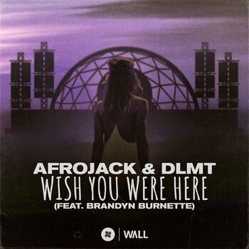 Afrojack Wish You Were Here Feat Brandyn Burnette Listen With Lyrics Deezer