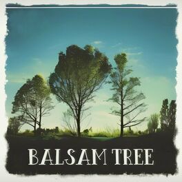 Album cover of Balsam Tree