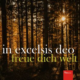 Album cover of In excelsis deo & Freue dich Welt