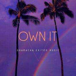 Album cover of OWN IT (Dj Andres Galvis Remix)