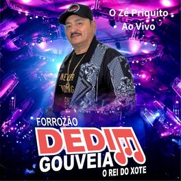 Album cover of O Zé Priquito (Ao Vivo)