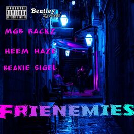 Album cover of Frienemies