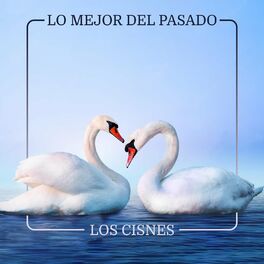Album cover of Lo Mejor del Pasado - Los cisnes