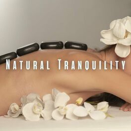 Album cover of Natural Tranquility: Ambient Sounds for Spa Bliss