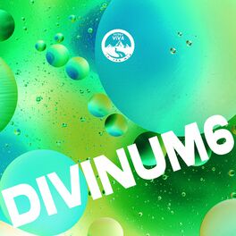 Album cover of Divinum 6