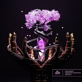 Album cover of Onyx Presents: Lapidary