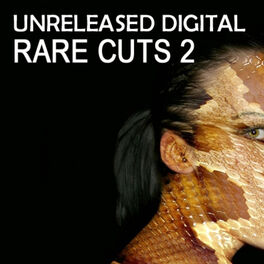 Album cover of Rare Cuts 2