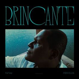 Album cover of Brincante
