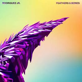 Album cover of Feathers & Bones