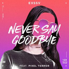 Album cover of Never Say Goodbye (feat. Pixel Terror)