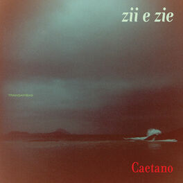 Album cover of Zii & Zie