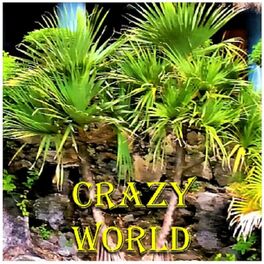 Album cover of Crazy World