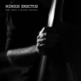 Album cover of Mingus Erectus