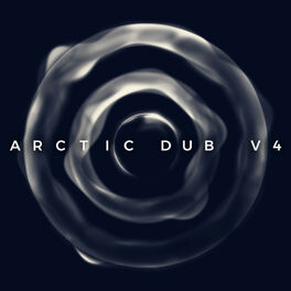 Album cover of Arctic Dub V4