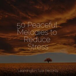 Album cover of 50 Peaceful Melodies to Reduce Stress