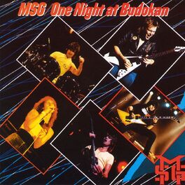 Album cover of One Night at Budokan
