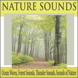 Album cover of Nature Sounds: Ocean Waves, Forest Sounds, Thunder Sounds, Sounds of Nature