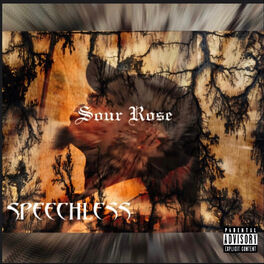 Album cover of Sour Rose