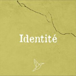 Album cover of Identité