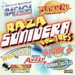 Album cover of Raza Sonidera Vol. 3