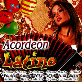 Album cover of Acordeón Latino