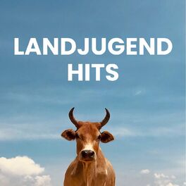 Album cover of Landjugend Hits