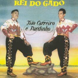 Album cover of Rei do Gado