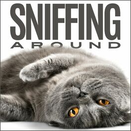Album cover of Sniffing Around