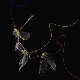 Album cover of Give Back What U Stole From Me (Nightmares On Wax Remix)