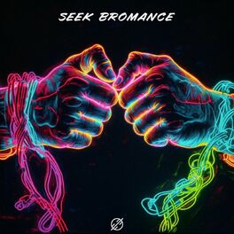 Album cover of Seek Bromance