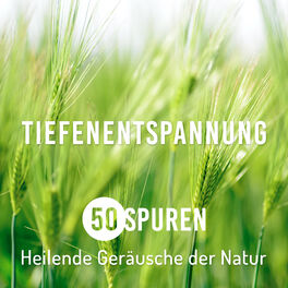 Album cover of Tiefenentspannung - 50 Spuren Heilende Geräusche der Natur mit Entspannungsmusik für Meditation, Spa, Yoga und Massage