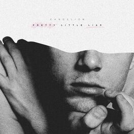 Album cover of Pretty Little Liar