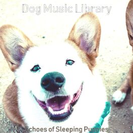 Album cover of Echoes of Sleeping Puppies