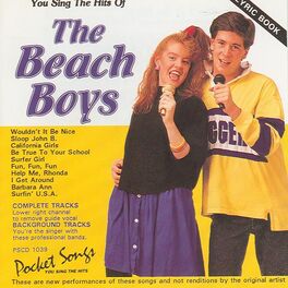 Album cover of The Hits Of The Beach Boys