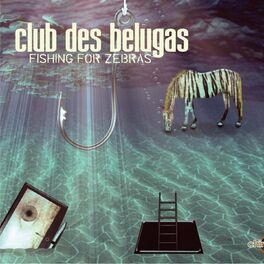 Album cover of Fishing for Zebras