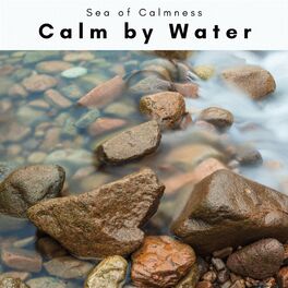 Album cover of 1 Calm by Water