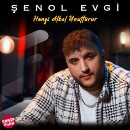 Album cover of Hangi Alkol Unutturur